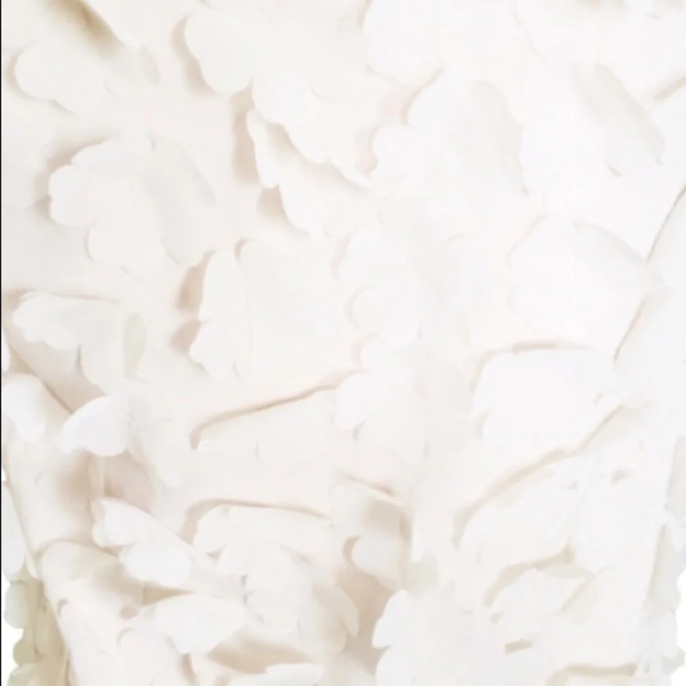 H&M Sleeveless Shift Dress With 3D Floral Appliqué Cream Size Small - Picture 5 of 6